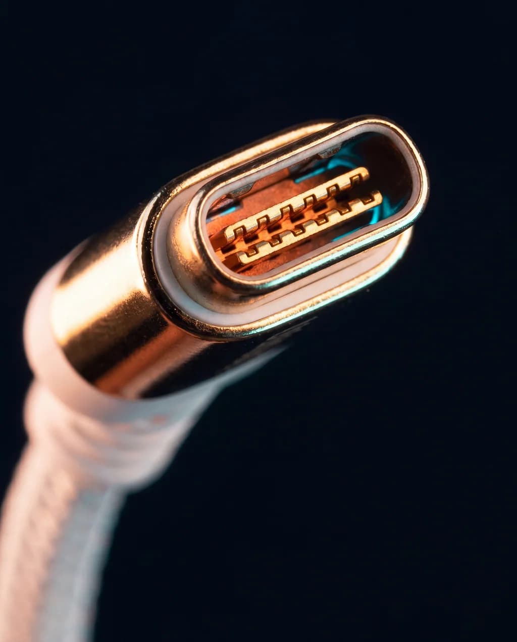 Macro photography Câble USB-C → USB-C · 100W E-marker